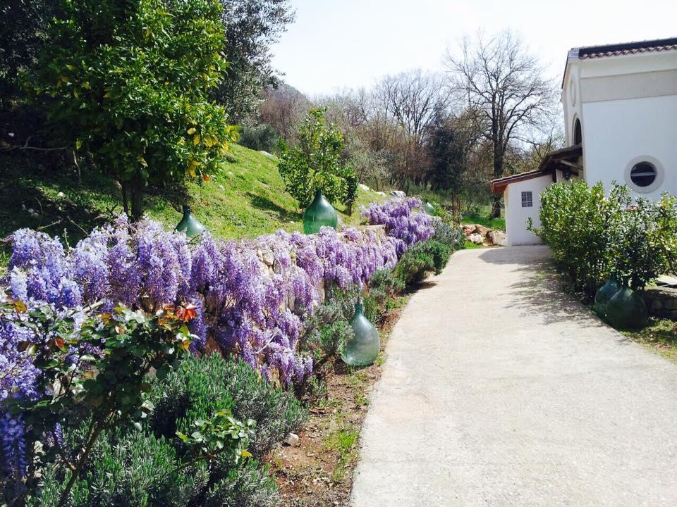 Il Maniero Bed and Breakfast Cassino Buitenkant foto
